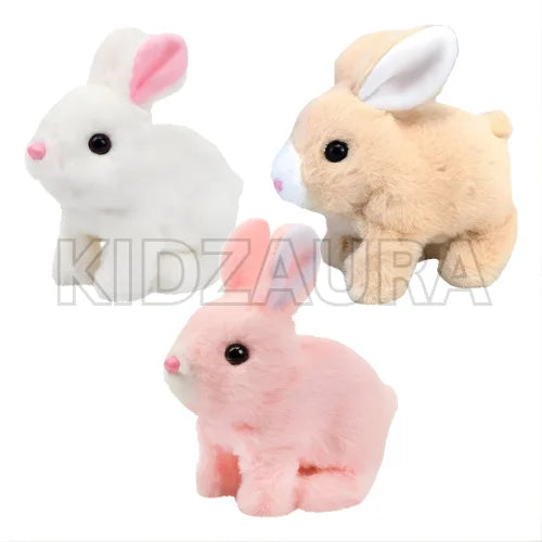 Cute & Cuddly Rabbit for Kids