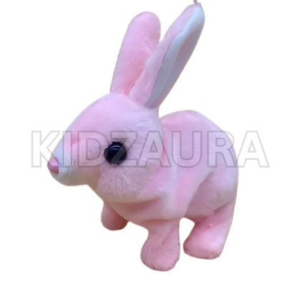 Cute & Cuddly Rabbit for Kids