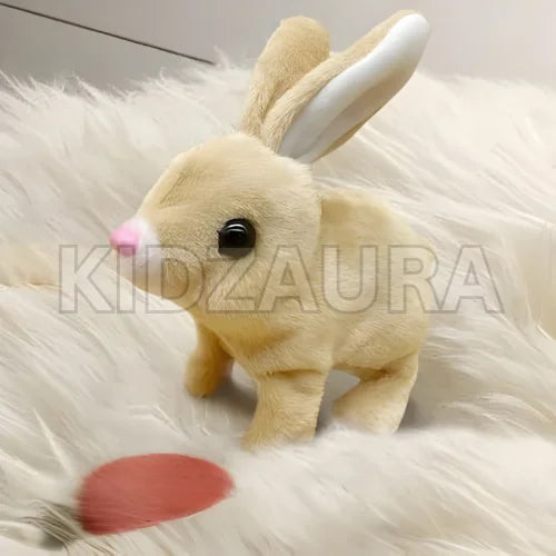 Cute & Cuddly Rabbit for Kids