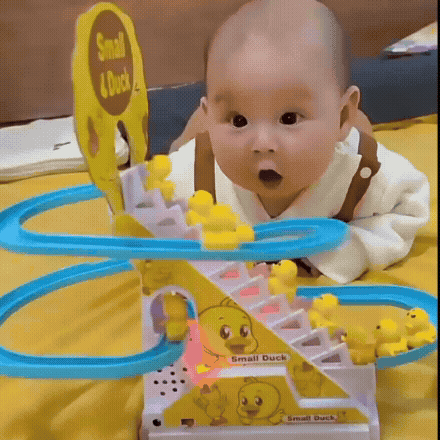 Duck Track Slide Toy