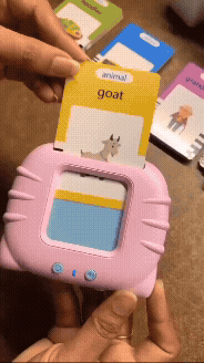 Interactive Talking Flash Cards